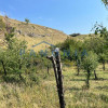 Teren Intravilan 8520 mp Jugureni thumb 4